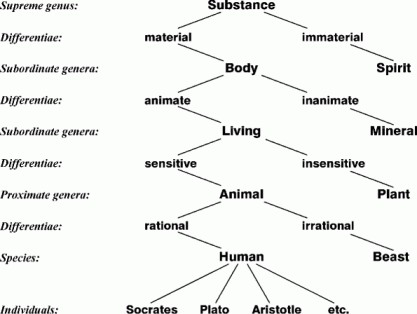 Les racines du mind mapping